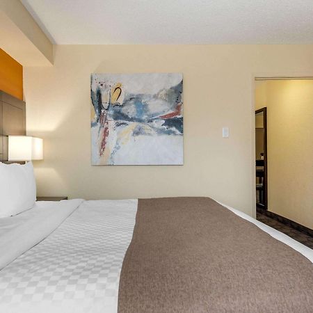 Quality Inn & Suites Bathurst Oda fotoğraf