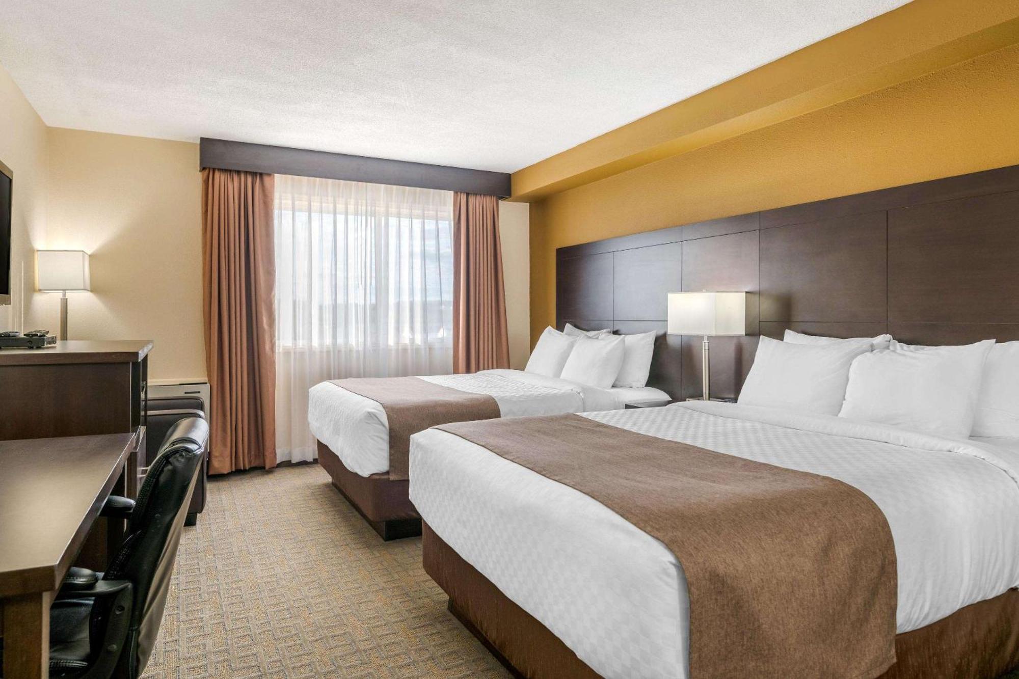 Quality Inn & Suites Bathurst Oda fotoğraf
