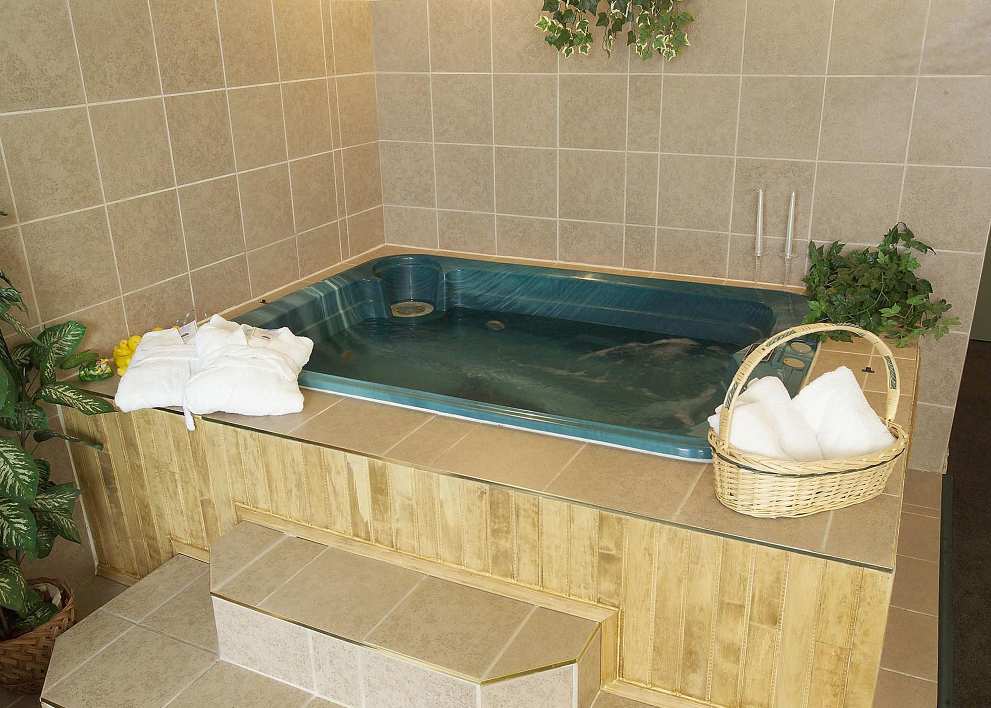 Quality Inn & Suites Bathurst Dış mekan fotoğraf