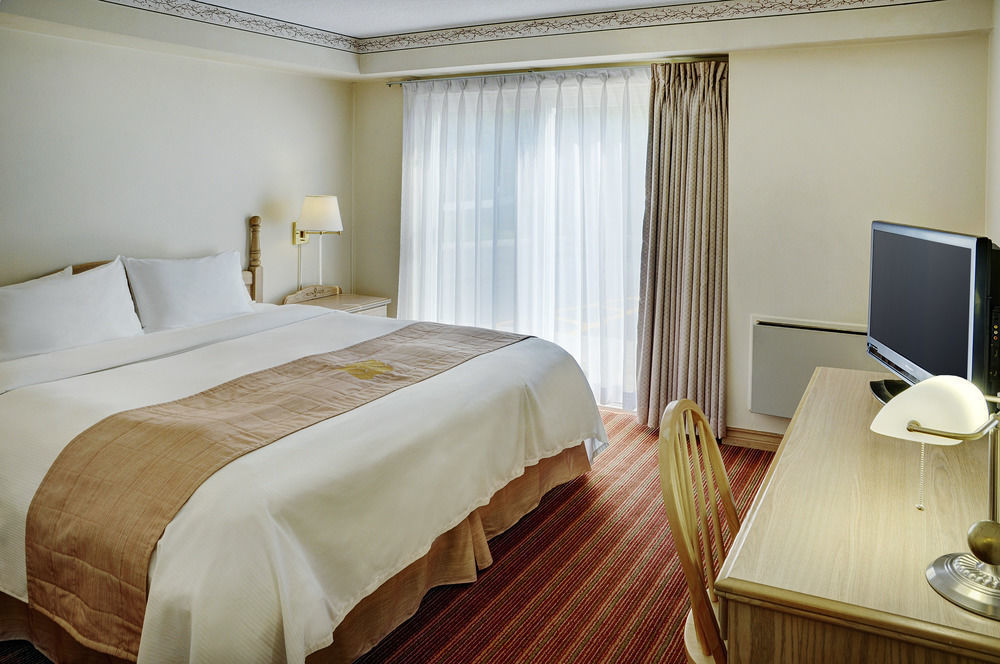 Quality Inn & Suites Bathurst Dış mekan fotoğraf