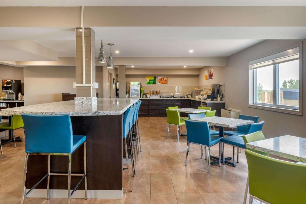 Quality Inn & Suites Bathurst Dış mekan fotoğraf