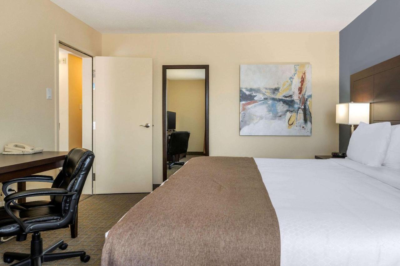 Quality Inn & Suites Bathurst Dış mekan fotoğraf