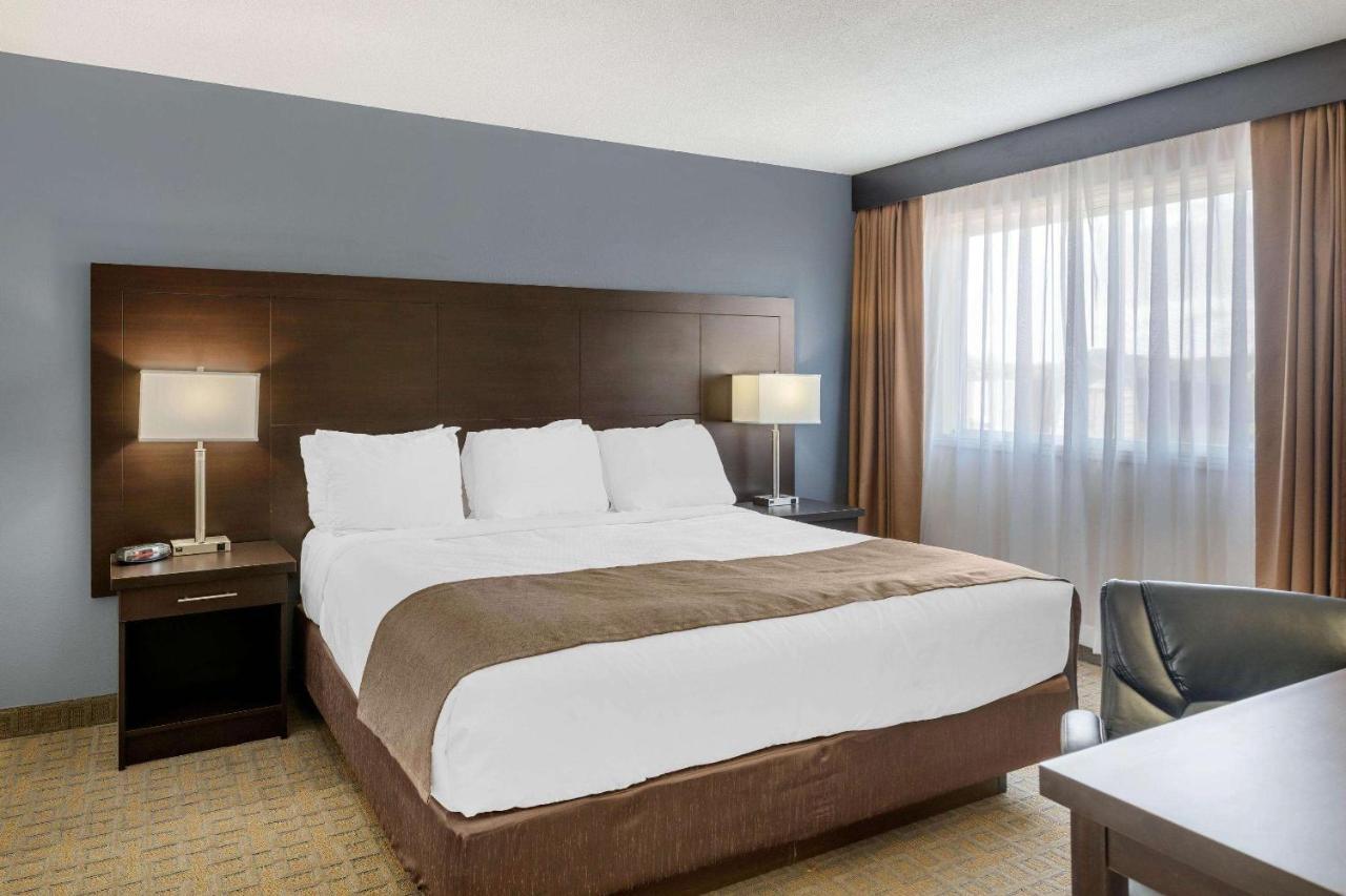 Quality Inn & Suites Bathurst Dış mekan fotoğraf