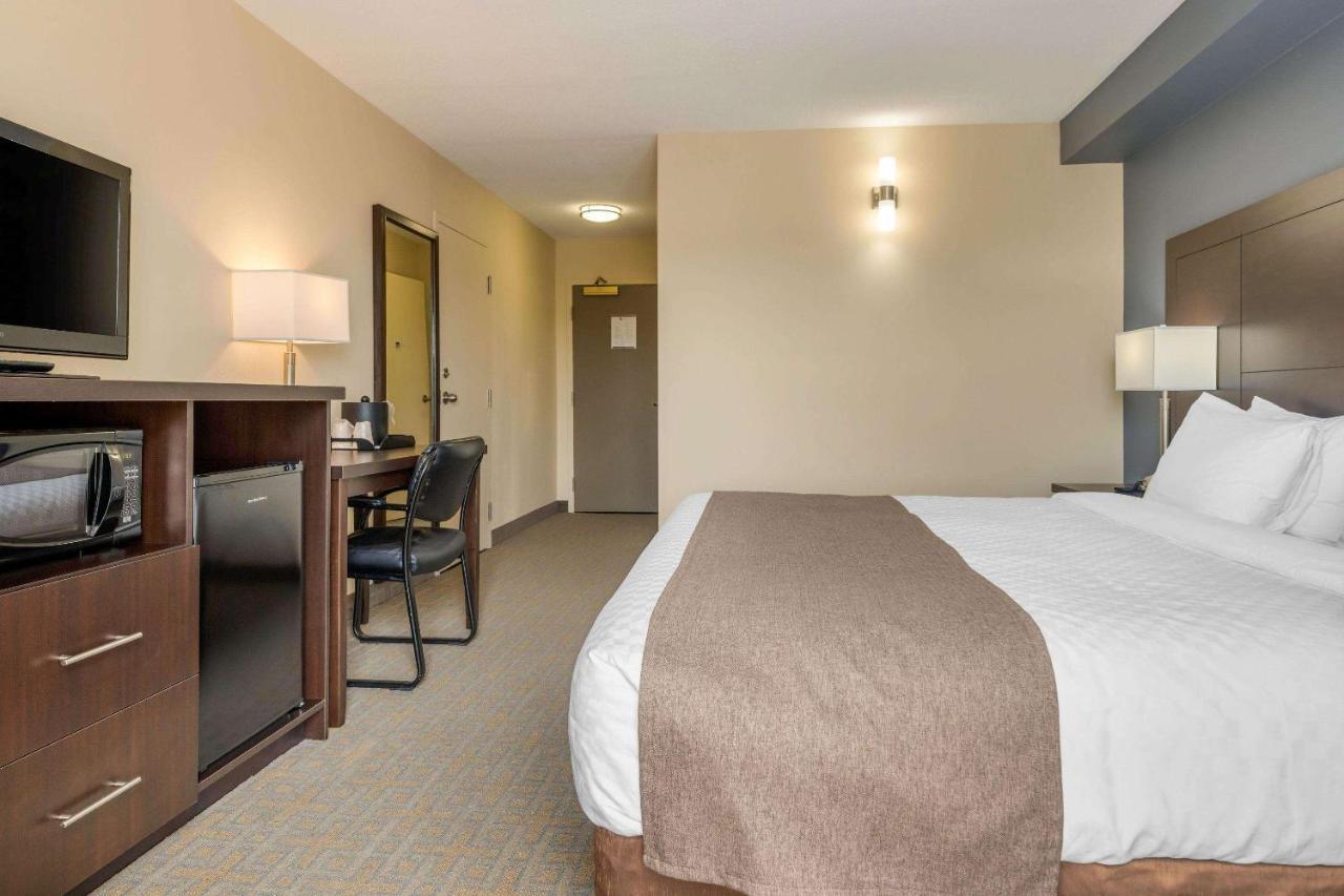 Quality Inn & Suites Bathurst Dış mekan fotoğraf